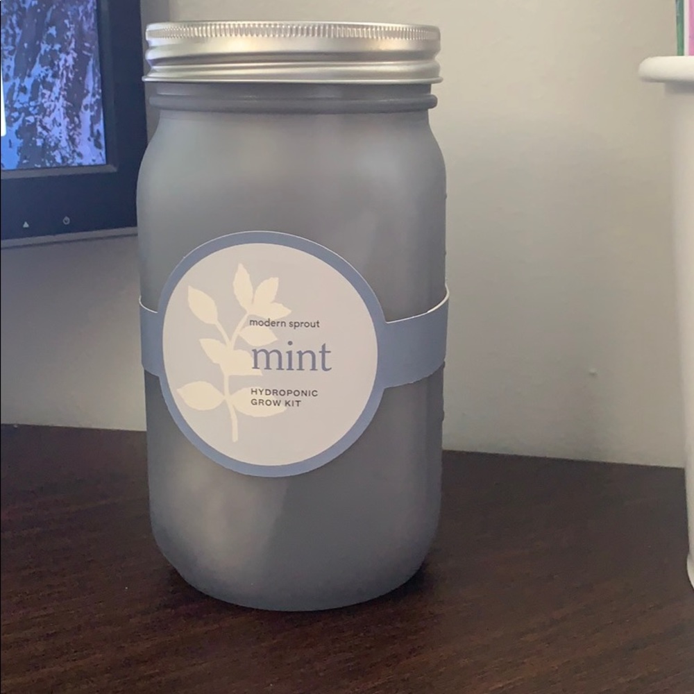 Modern Sprout Hydroponic Grow Kit - MINT 🌱